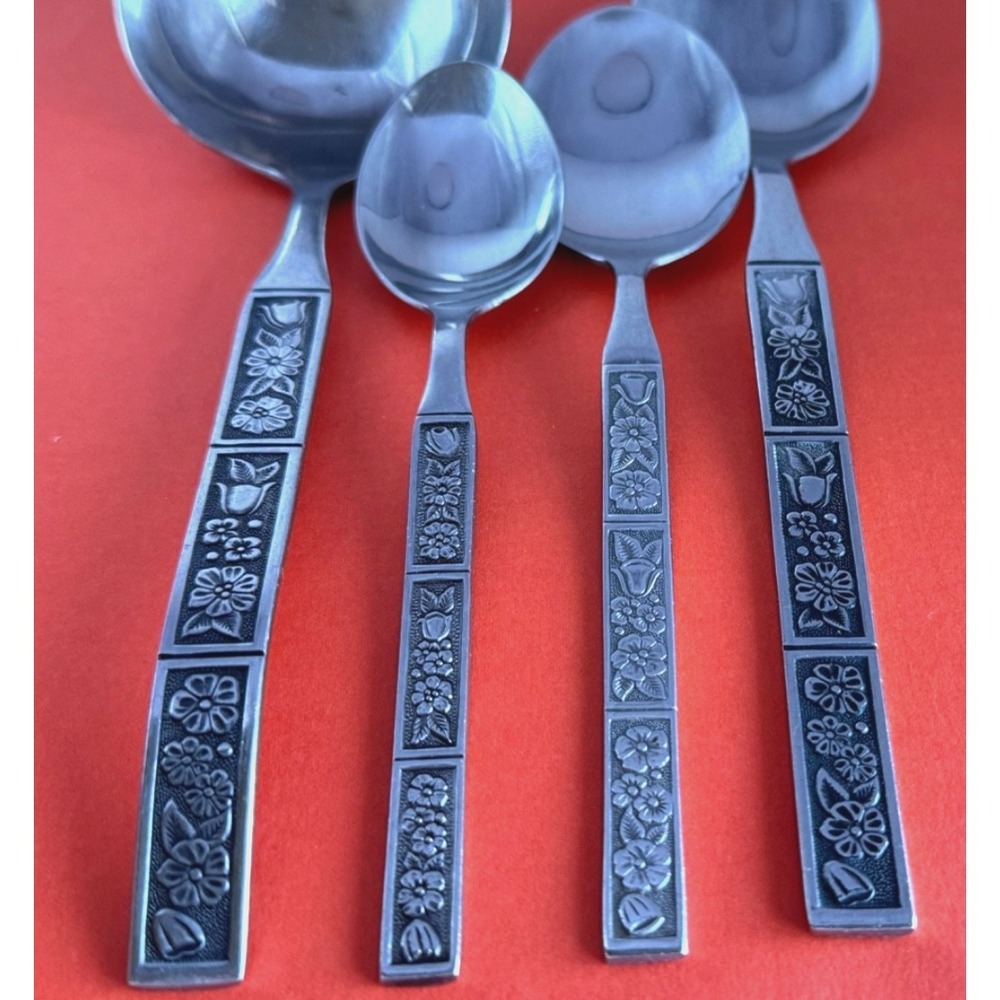 Oneida Northland SPRING FEVER Spoons(4) Ladle+Serving+Soup+Teaspoon Black Accent
